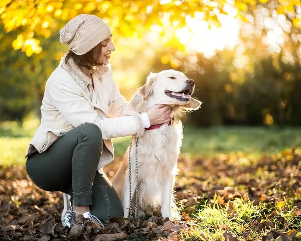 An owner crouching beside her golden retriever among autumn leaves.